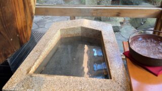 24/04/02 天童温泉のお湯の魅力を、美味求真の宿 天童ホテルさん、ほほえみの宿 滝の湯さんで堪能しました。